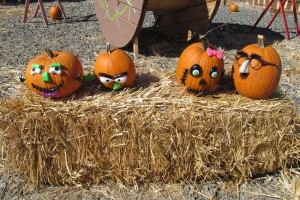 decorated pumpkins in Montour, Idaho